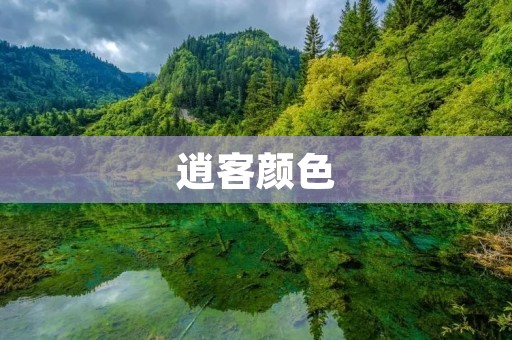 逍客颜色:让你的出行更加时尚 逍客颜色:让你的出行更加时尚