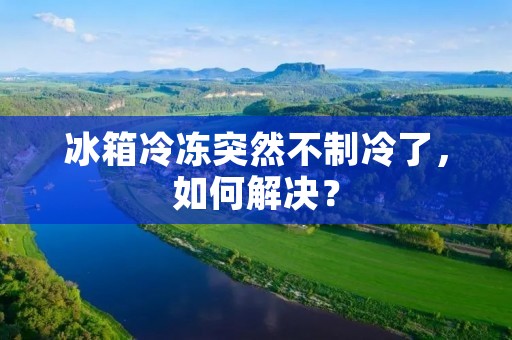 冰箱冷冻突然不制冷了，如何解决？