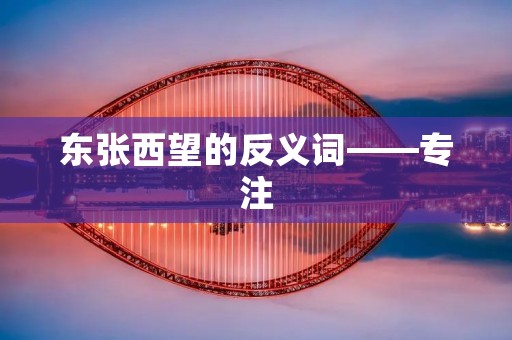 东张西望的反义词——专注