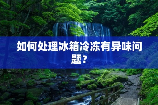 如何处理冰箱冷冻有异味问题？