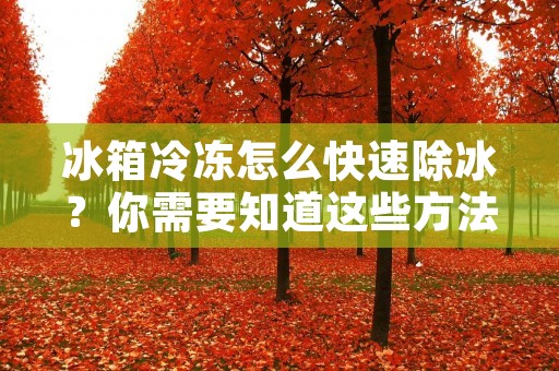 冰箱冷冻怎么快速除冰?你需要知道这些方法! 冰箱冷冻怎么快速除冰?你需要知道这些方法!