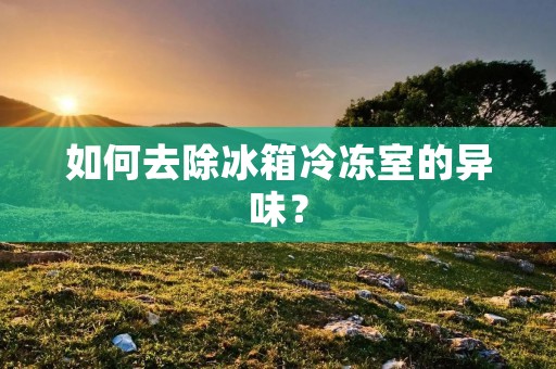 如何去除冰箱冷冻室的异味？