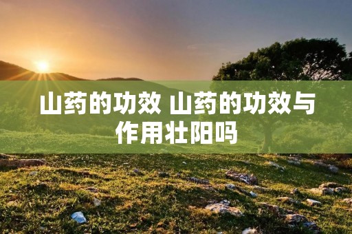 山药的功效 山药的功效与作用壮阳吗