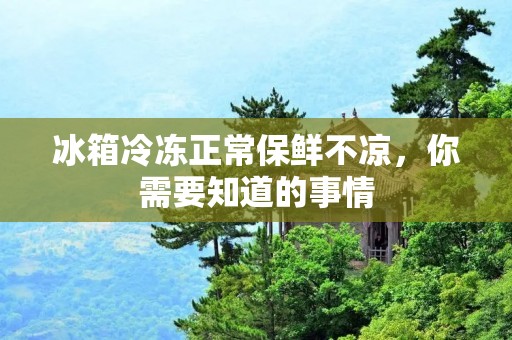 冰箱冷冻正常保鲜不凉，你需要知道的事情