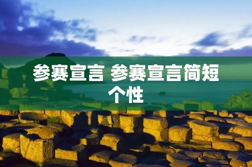 参赛宣言 参赛宣言简短个性