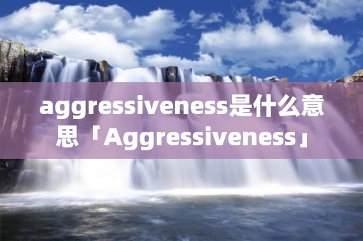 aggressiveness是什么意思「Aggressiveness」