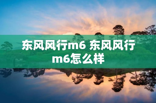 东风风行m6 东风风行m6怎么样
