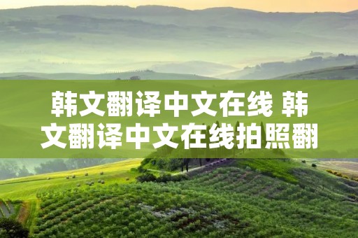 韩文翻译中文在线 韩文翻译中文在线拍照翻译器