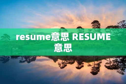 resume意思 RESUME意思