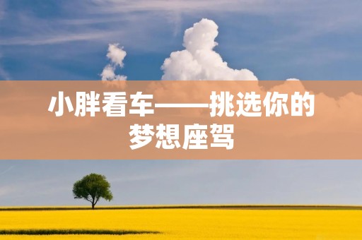小胖看车——挑选你的梦想座驾