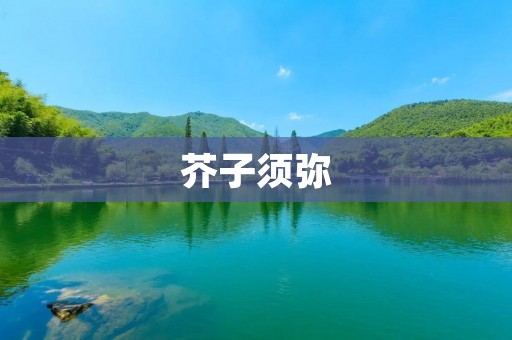 芥子须弥：一种珍贵的中草药