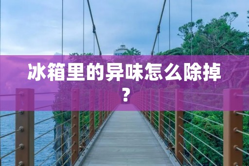 冰箱里的异味怎么除掉？