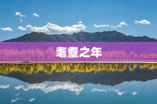 耄耋之年:如何活得精彩?