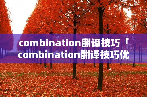 combination翻译技巧「combination翻译技巧优点」