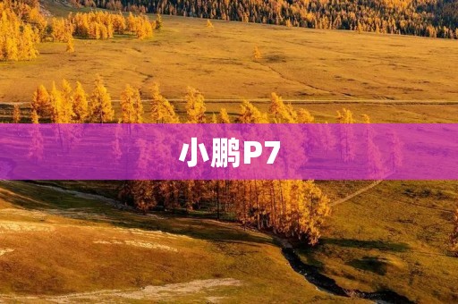 小鹏P7:中国新能源汽车的领军者 小鹏P7:中国新能源汽车的领军者