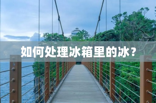 如何处理冰箱里的冰? 如何处理冰箱里的冰?