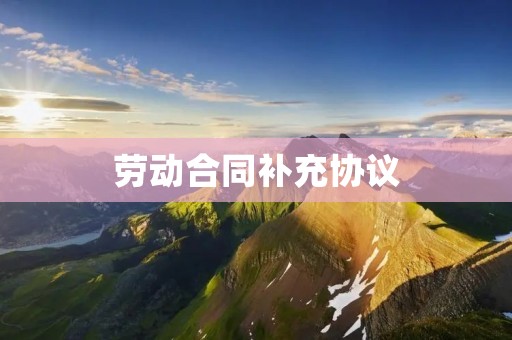 劳动合同补充协议：详解