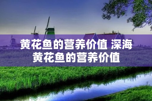 黄花鱼的营养价值 深海黄花鱼的营养价值