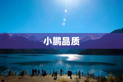 小鹏品质：从细节中体现的卓越品质