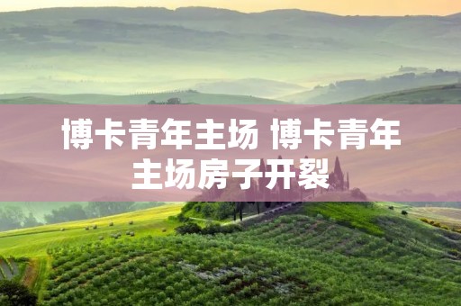 博卡青年主场 博卡青年主场房子开裂
