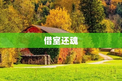 借室还魂：一场神秘的灵魂回归之旅