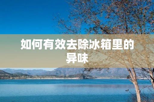 如何有效去除冰箱里的异味