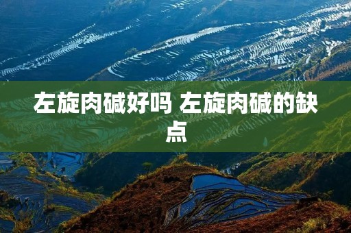 左旋肉碱好吗 左旋肉碱的缺点