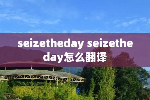 seizetheday seizetheday怎么翻译