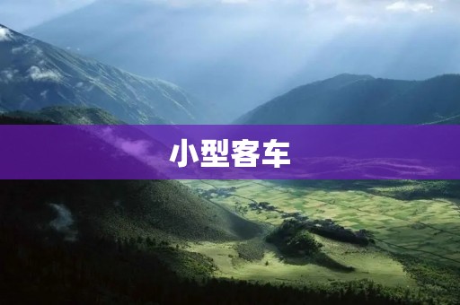 小型客车：为城市出行带来便利