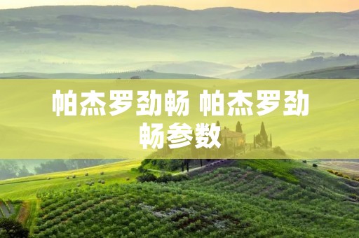 帕杰罗劲畅 帕杰罗劲畅参数