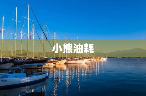 小熊油耗：如何优化燃油效率