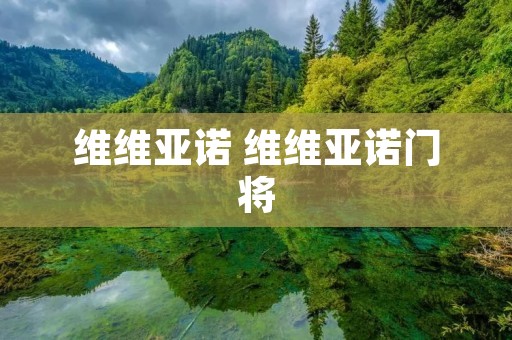 维维亚诺 维维亚诺门将