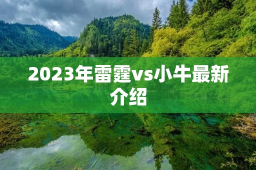 2023年雷霆vs小牛最新介绍