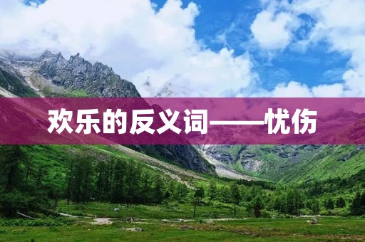 欢乐的反义词——忧伤