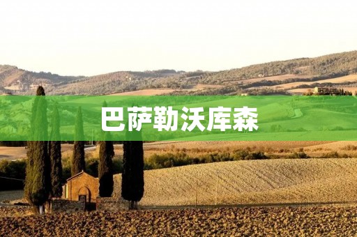 巴萨勒沃库森：欧冠历史上的一场经典对决