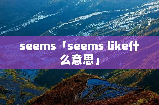 seems「seems like什么意思」