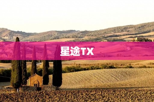 星途TX:一款革新出行方式的智能电动车 星途TX:一款革新出行方式的智能电动车