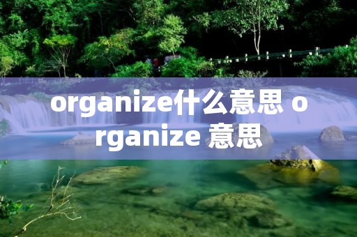 organize什么意思 organize 意思