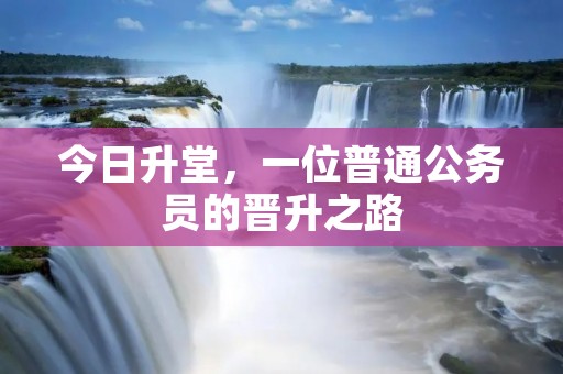 今日升堂，一位普通公务员的晋升之路