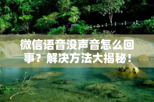 微信语音没声音怎么回事?解决方法大揭秘!