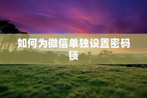 如何为微信单独设置密码锁
