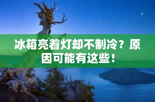 冰箱亮着灯却不制冷?原因可能有这些! 冰箱亮着灯却不制冷?原因可能有这些!