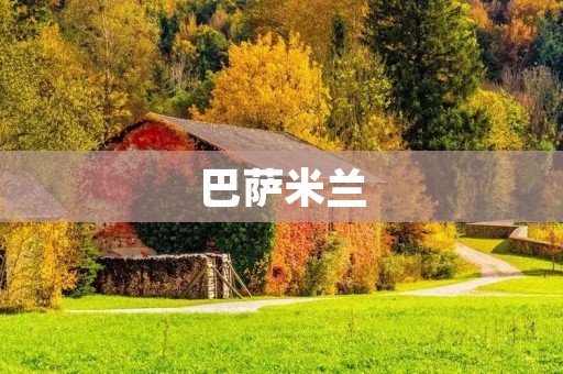巴萨米兰:当足球遇上美食 巴萨米兰:当足球遇上美食