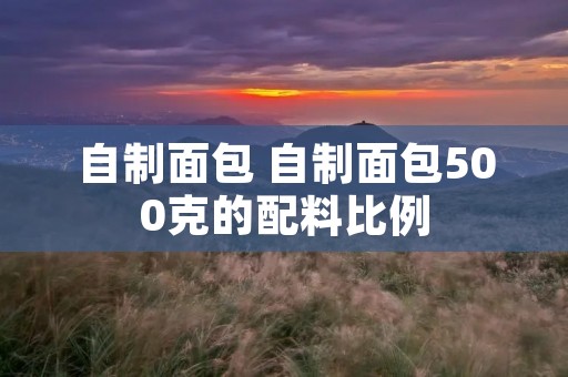 自制面包 自制面包500克的配料比例