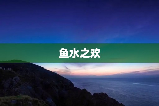 鱼水之欢：宠物鱼的养护与饲养技巧