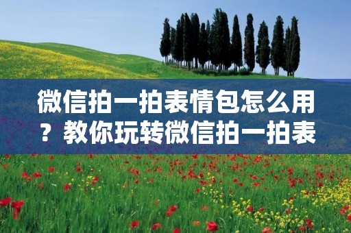 微信拍一拍表情包怎么用?教你玩转微信拍一拍表情包!