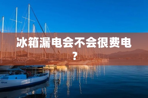 冰箱漏电会不会很费电？