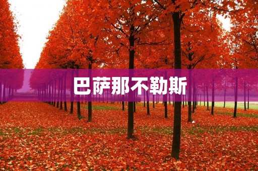 巴萨那不勒斯：欧冠之路上的一次激烈碰撞