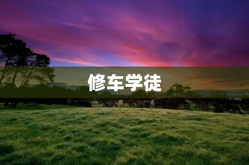 修车学徒：从零开始的修车之旅