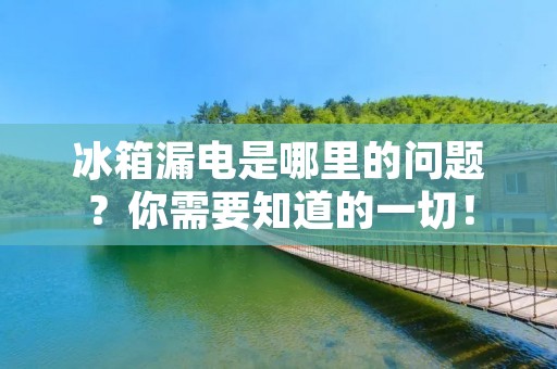 冰箱漏电是哪里的问题?你需要知道的一切! 冰箱漏电是哪里的问题?你需要知道的一切!
